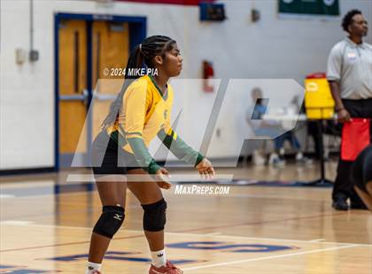 Thumbnail 1 in Pine Forest @ Terry Sanford photogallery.