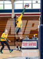 Photo from the gallery "Pine Forest @ Terry Sanford"