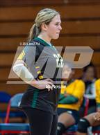 Photo from the gallery "Pine Forest @ Terry Sanford"