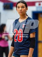 Photo from the gallery "Pine Forest @ Terry Sanford"