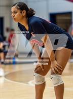 Photo from the gallery "Pine Forest @ Terry Sanford"