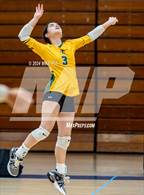 Photo from the gallery "Pine Forest @ Terry Sanford"