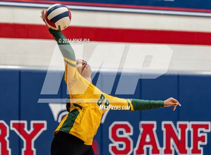 Thumbnail 1 in Pine Forest @ Terry Sanford photogallery.