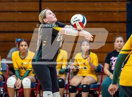 Thumbnail 3 in Pine Forest @ Terry Sanford photogallery.