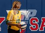 Photo from the gallery "Pine Forest @ Terry Sanford"