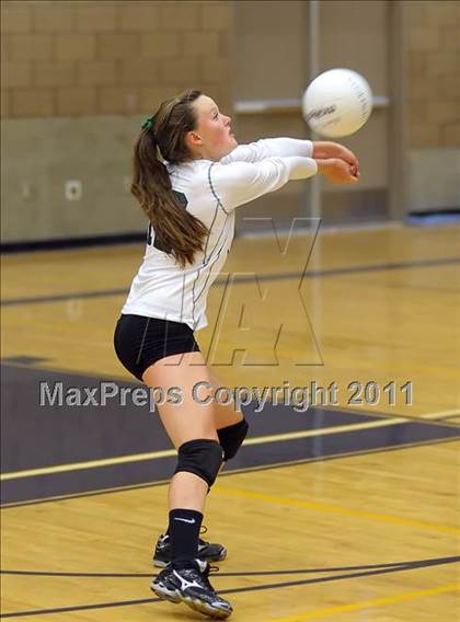 Thumbnail 1 in Colfax @ Rosemont photogallery.