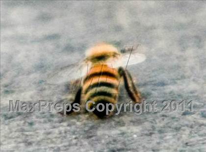 Thumbnail 3 in Cerritos @ Mission Viejo photogallery.