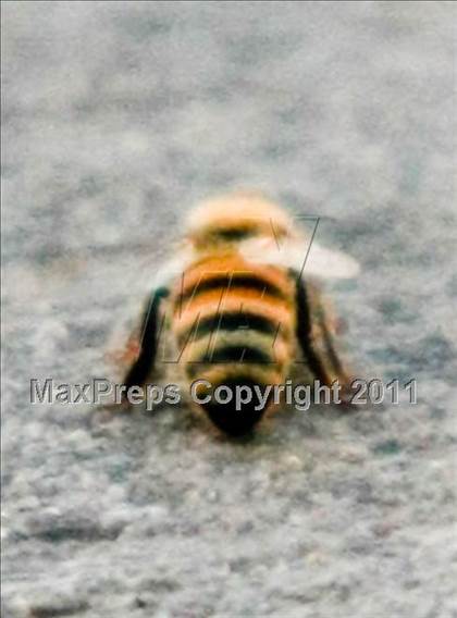 Thumbnail 1 in Cerritos @ Mission Viejo photogallery.