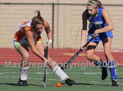 Thumbnail 1 in Presentation vs. Los Gatos (CIF CCS Final) photogallery.