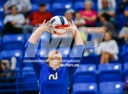 Thumbnail 3 in Connally @ Robinson photogallery.