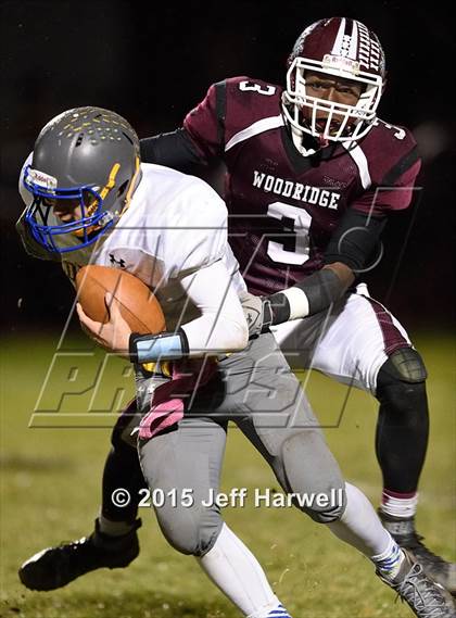 Thumbnail 3 in Coventry @ Woodridge  photogallery.