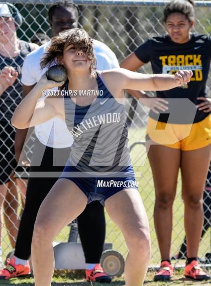 Thumbnail 2 in Diamond Hornets Invitational (Field Events) photogallery.