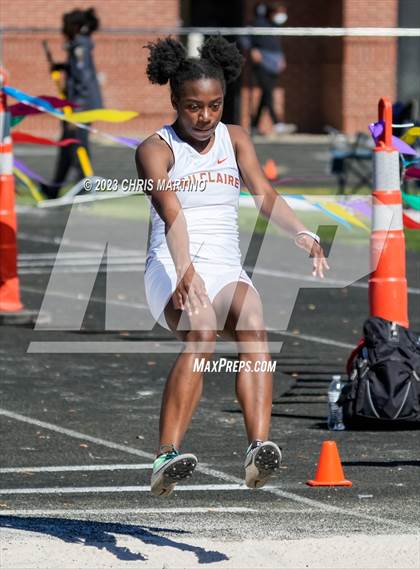 Thumbnail 2 in Diamond Hornets Invitational (Field Events) photogallery.