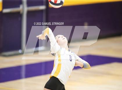 Thumbnail 1 in Linden @ Bret Harte photogallery.