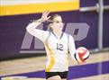 Photo from the gallery "Linden @ Bret Harte"