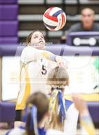 Photo from the gallery "Linden @ Bret Harte"
