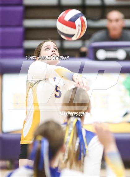 Thumbnail 1 in Linden @ Bret Harte photogallery.