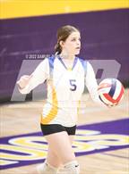 Photo from the gallery "Linden @ Bret Harte"