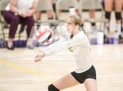 Thumbnail 2 in Linden @ Bret Harte photogallery.