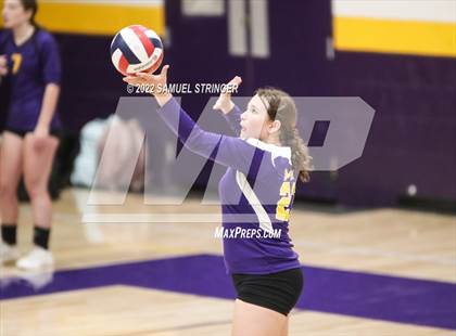 Thumbnail 2 in Linden @ Bret Harte photogallery.