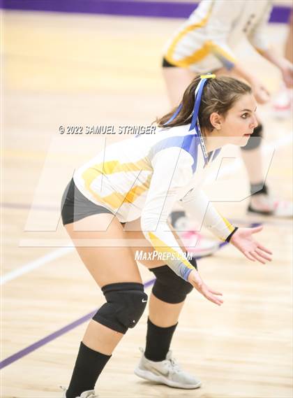 Thumbnail 1 in Linden @ Bret Harte photogallery.