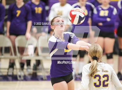Thumbnail 3 in Linden @ Bret Harte photogallery.