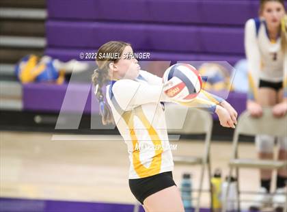 Thumbnail 1 in Linden @ Bret Harte photogallery.