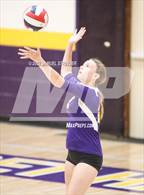 Photo from the gallery "Linden @ Bret Harte"