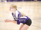 Photo from the gallery "Linden @ Bret Harte"