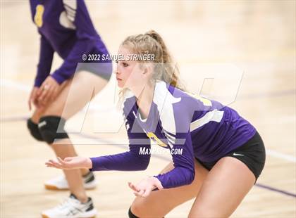Thumbnail 3 in Linden @ Bret Harte photogallery.