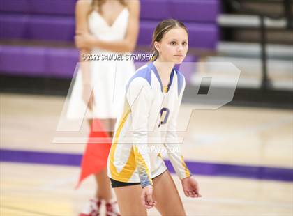Thumbnail 2 in Linden @ Bret Harte photogallery.