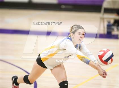 Thumbnail 1 in Linden @ Bret Harte photogallery.