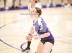 Photo from the gallery "Linden @ Bret Harte"