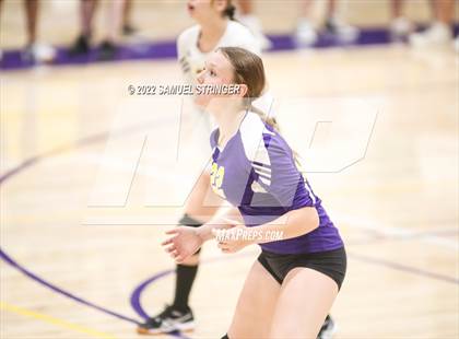 Thumbnail 2 in Linden @ Bret Harte photogallery.