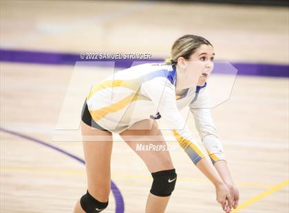 Thumbnail 3 in Linden @ Bret Harte photogallery.