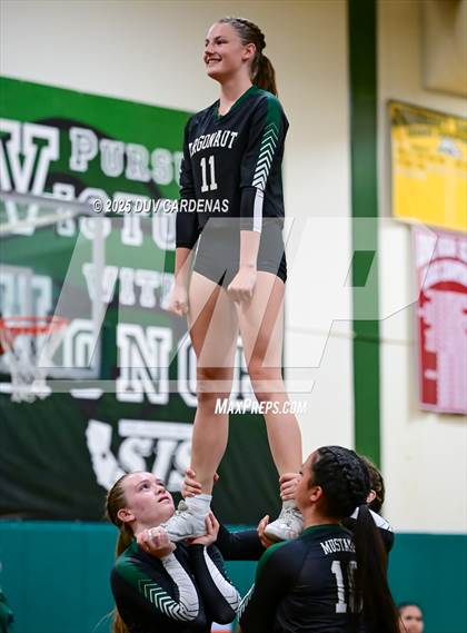 Thumbnail 1 in Argonaut vs El Dorado (STUNT) photogallery.