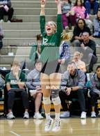 Photo from the gallery "Westview @ Millard West (Metro Tournament)"