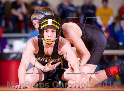 Thumbnail 1 in CHSAA Championships photogallery.