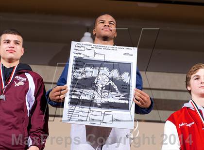 Thumbnail 3 in CHSAA Championships photogallery.