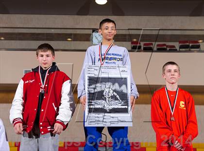 Thumbnail 3 in CHSAA Championships photogallery.