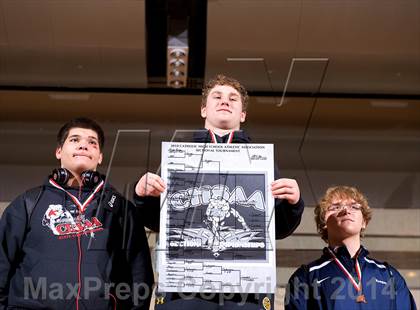 Thumbnail 2 in CHSAA Championships photogallery.