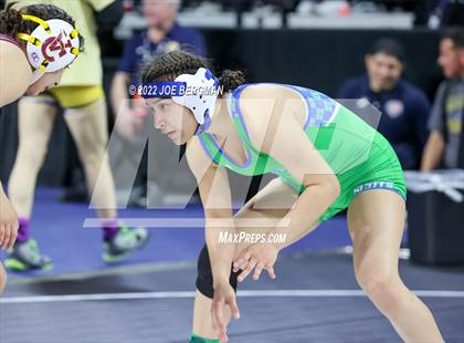 Thumbnail 1 in CIF State Championships (Girl's 1st Round) photogallery.