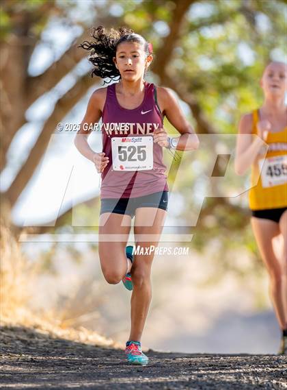 Thumbnail 2 in CIF SJS Sierra Foothill League Meet photogallery.
