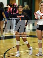 Photo from the gallery "Lakeland @ George Jenkins"