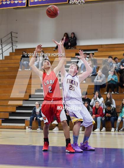 Thumbnail 1 in Lodi @ Tokay photogallery.