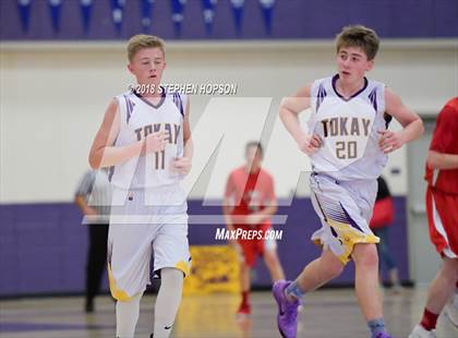 Thumbnail 1 in Lodi @ Tokay photogallery.
