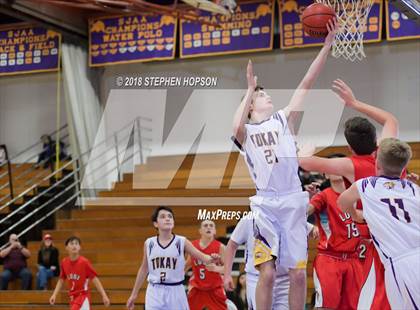 Thumbnail 1 in Lodi @ Tokay photogallery.