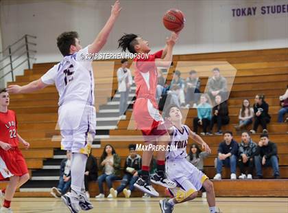 Thumbnail 1 in Lodi @ Tokay photogallery.