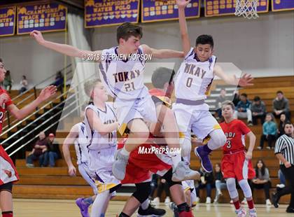 Thumbnail 2 in Lodi @ Tokay photogallery.
