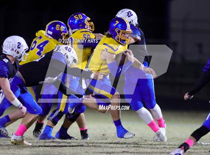 Thumbnail 1 in Brock @ Peaster photogallery.